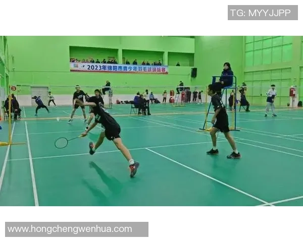 成都羽毛球队在锦标赛中的精彩表现与力量分析